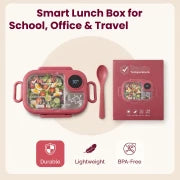 Lunch box flat lay arrangement